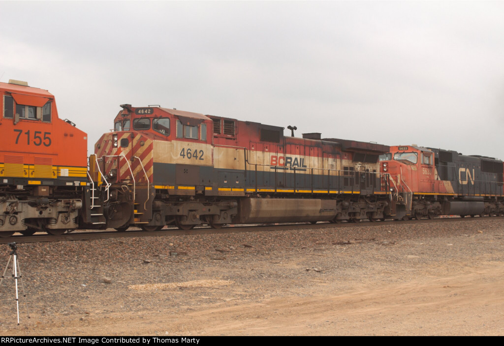 BCOL 4642
